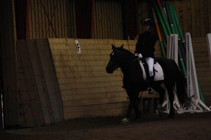 Stævne på Enggården 09 Dressur (rideskolen) billede 96