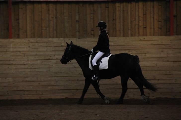 Stævne på Enggården 09 Dressur (rideskolen) billede 97