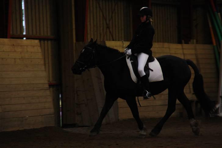 Stævne på Enggården 09 Dressur (rideskolen) billede 99