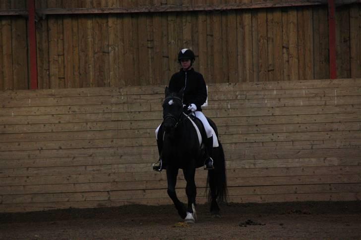 Stævne på Enggården 09 Dressur (rideskolen) billede 101