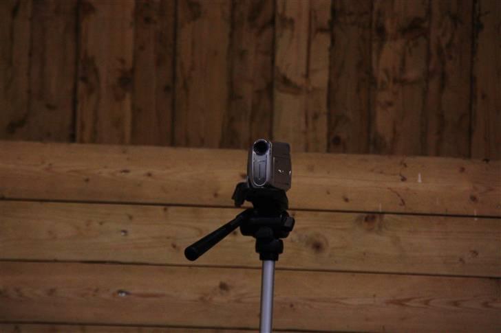 Stævne på Enggården 09 Dressur (rideskolen) billede 102