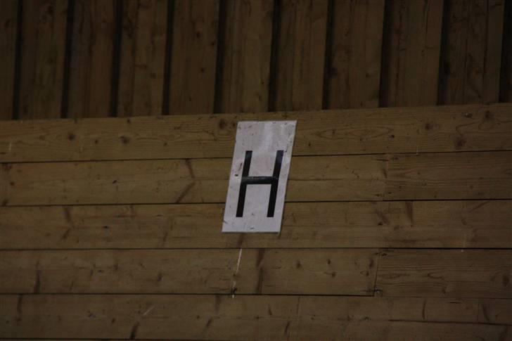 Stævne på Enggården 09 Dressur (rideskolen) billede 113