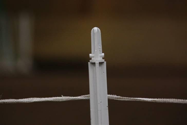 Stævne på Enggården 09 Dressur (rideskolen) billede 114