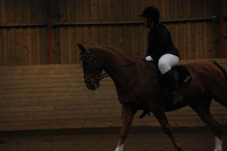 Stævne på Enggården 09 Dressur (rideskolen) billede 115