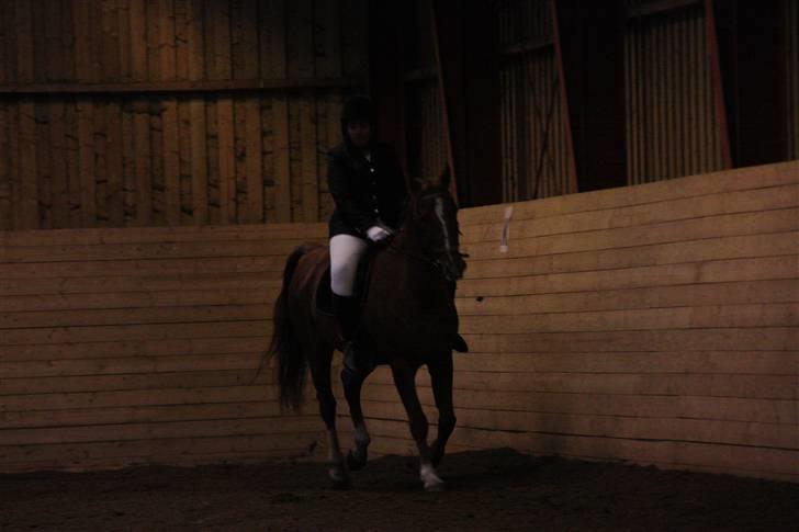 Stævne på Enggården 09 Dressur (rideskolen) billede 116