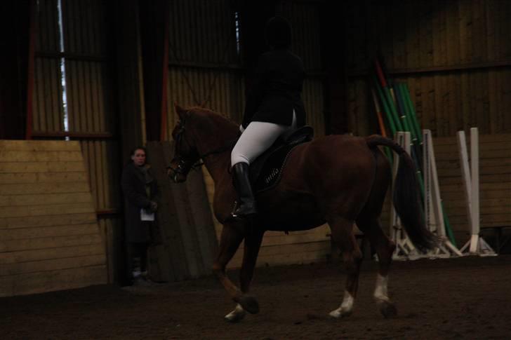 Stævne på Enggården 09 Dressur (rideskolen) billede 118