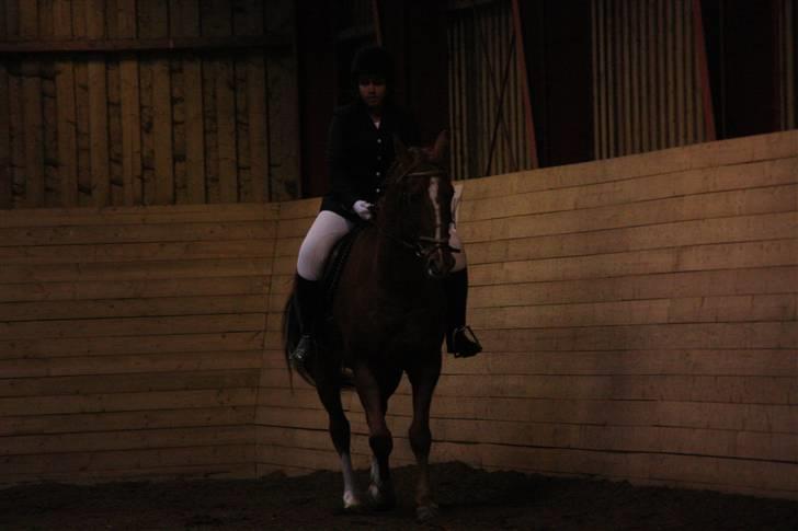 Stævne på Enggården 09 Dressur (rideskolen) billede 120