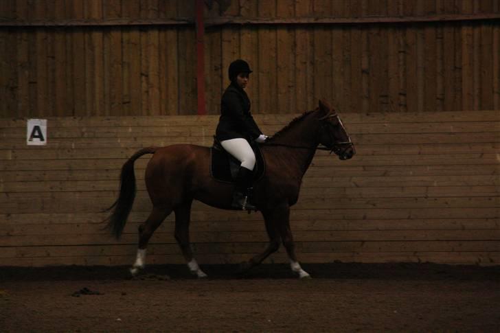 Stævne på Enggården 09 Dressur (rideskolen) billede 121