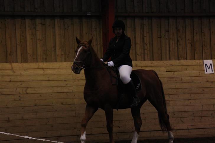 Stævne på Enggården 09 Dressur (rideskolen) billede 124