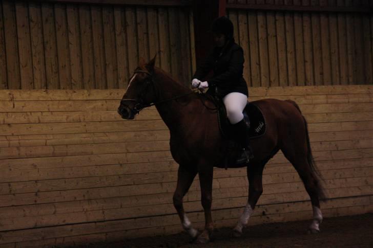 Stævne på Enggården 09 Dressur (rideskolen) billede 125