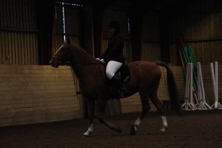 Stævne på Enggården 09 Dressur (rideskolen) billede 126