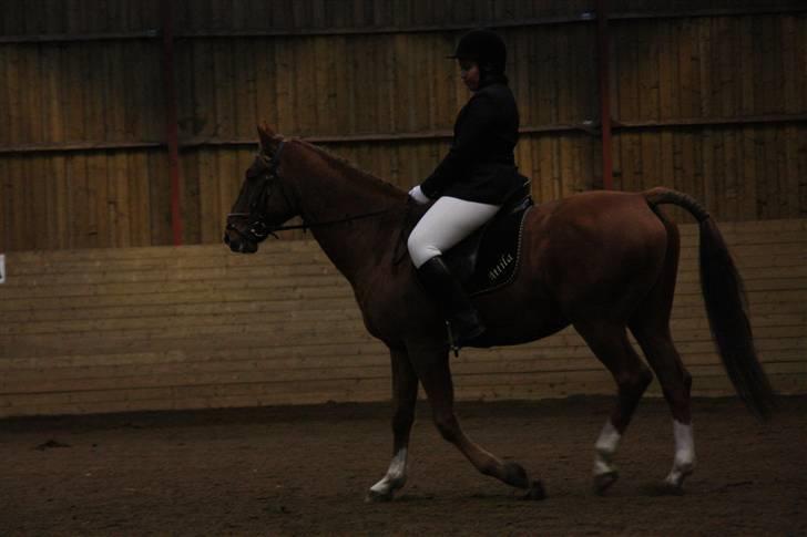 Stævne på Enggården 09 Dressur (rideskolen) billede 127