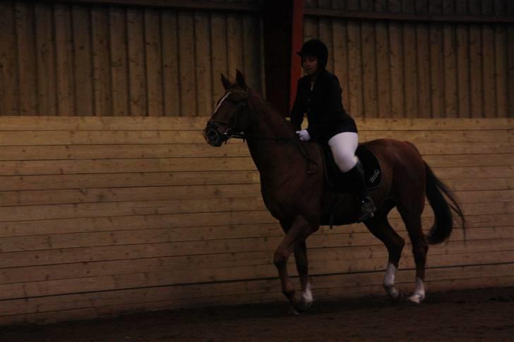 Stævne på Enggården 09 Dressur (rideskolen) billede 128