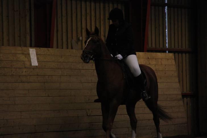 Stævne på Enggården 09 Dressur (rideskolen) billede 129