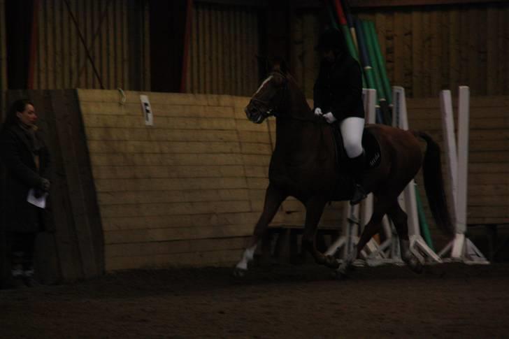 Stævne på Enggården 09 Dressur (rideskolen) billede 130