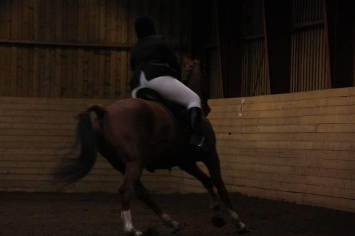 Stævne på Enggården 09 Dressur (rideskolen) billede 131