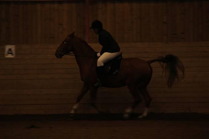 Stævne på Enggården 09 Dressur (rideskolen) billede 132