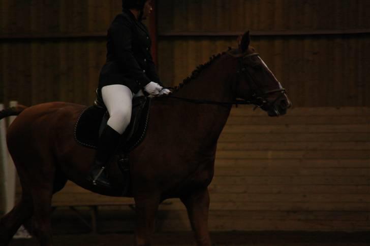 Stævne på Enggården 09 Dressur (rideskolen) billede 133