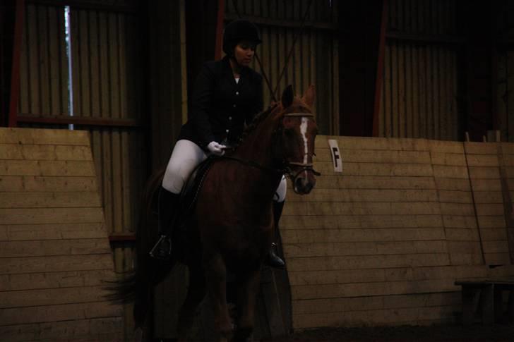 Stævne på Enggården 09 Dressur (rideskolen) billede 134