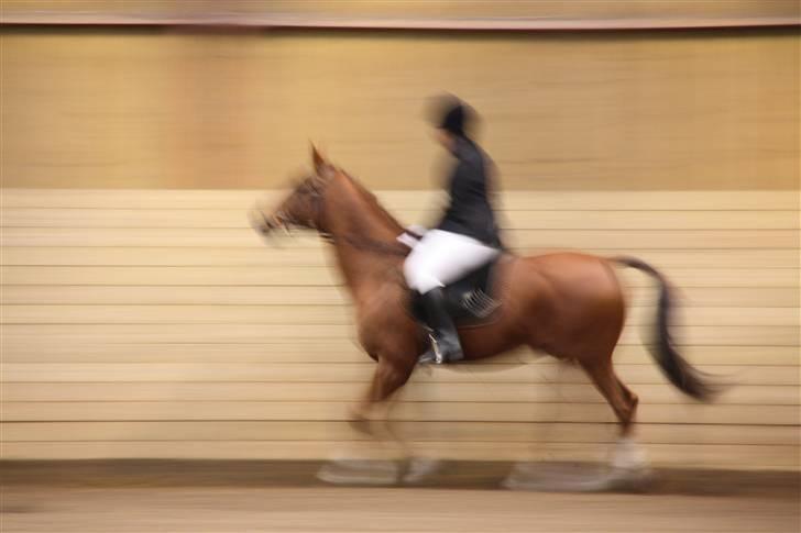Stævne på Enggården 09 Dressur (rideskolen) billede 135