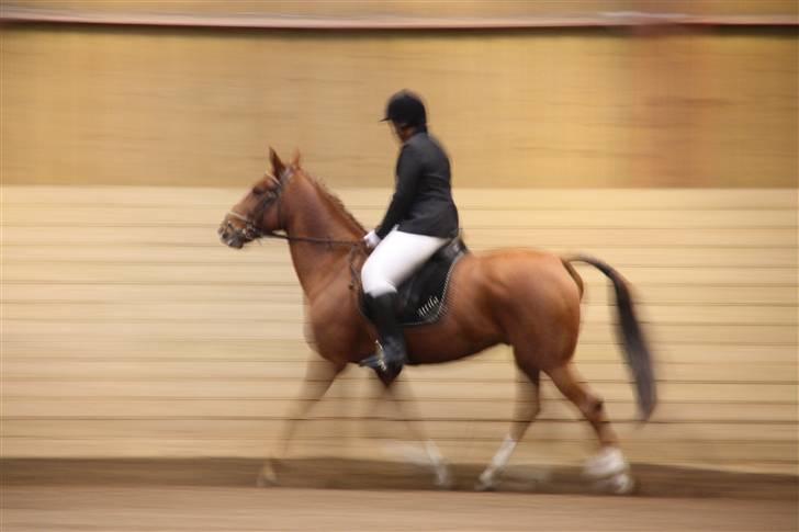 Stævne på Enggården 09 Dressur (rideskolen) billede 136