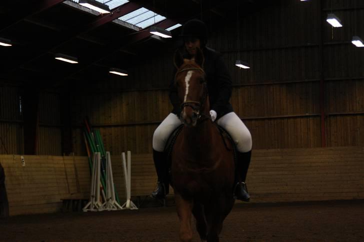 Stævne på Enggården 09 Dressur (rideskolen) billede 138