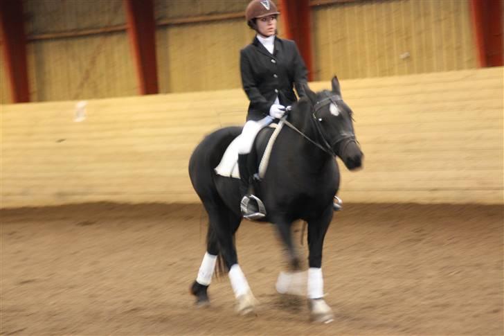 Stævne på Enggården 09 Dressur (rideskolen) billede 142