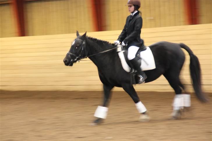 Stævne på Enggården 09 Dressur (rideskolen) billede 143