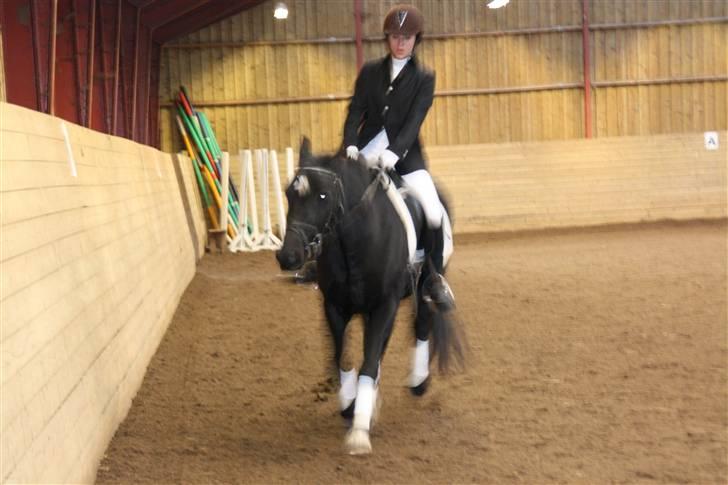Stævne på Enggården 09 Dressur (rideskolen) billede 144