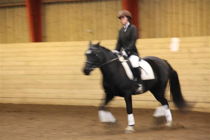 Stævne på Enggården 09 Dressur (rideskolen) billede 145