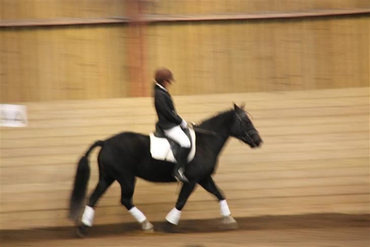 Stævne på Enggården 09 Dressur (rideskolen) billede 146