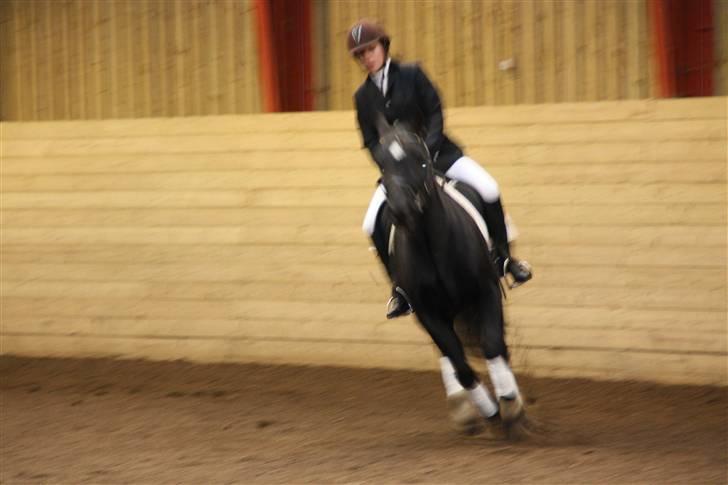 Stævne på Enggården 09 Dressur (rideskolen) billede 147