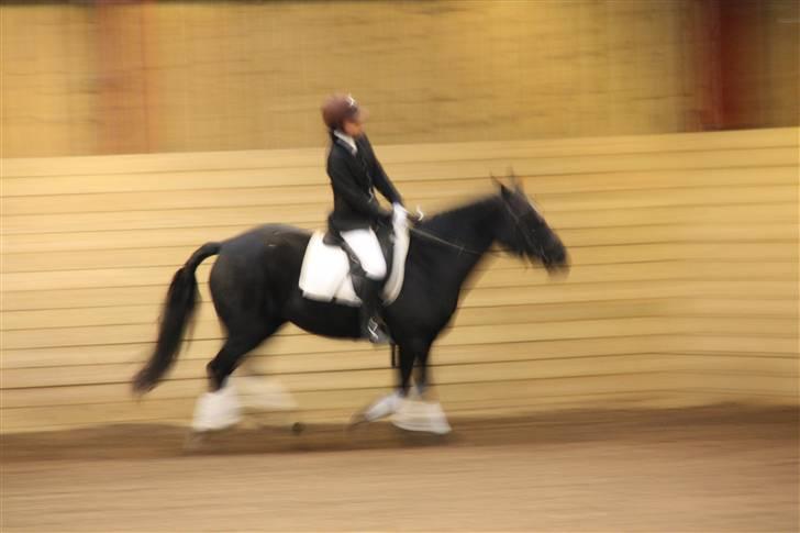 Stævne på Enggården 09 Dressur (rideskolen) billede 148