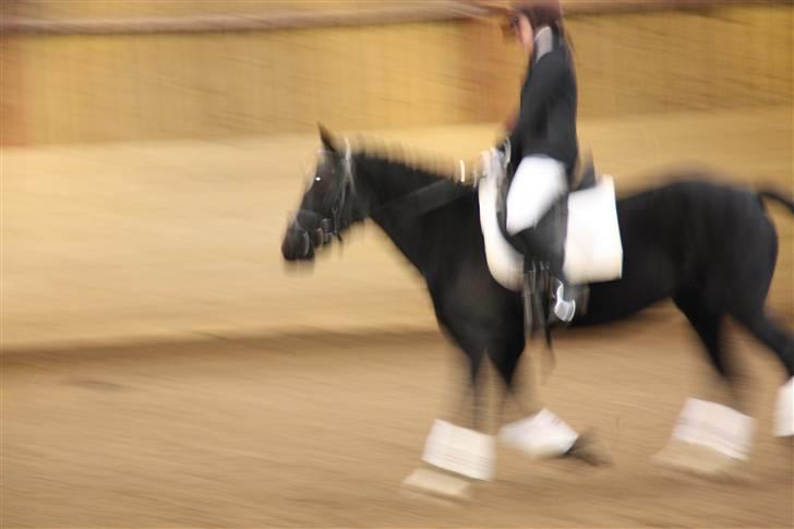 Stævne på Enggården 09 Dressur (rideskolen) billede 149