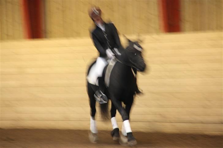 Stævne på Enggården 09 Dressur (rideskolen) billede 150