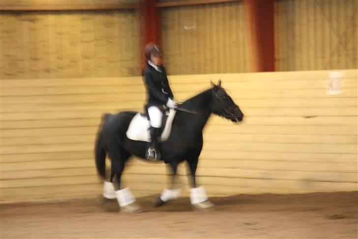 Stævne på Enggården 09 Dressur (rideskolen) billede 151