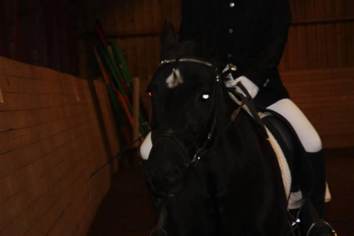 Stævne på Enggården 09 Dressur (rideskolen) billede 152