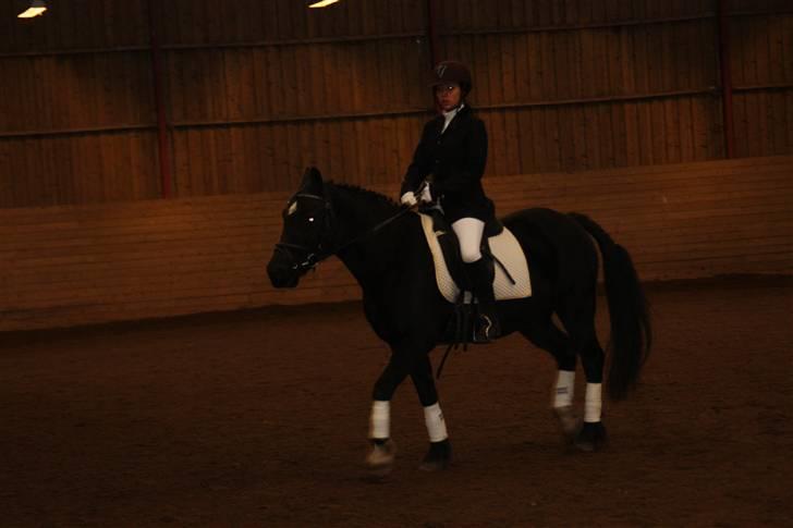 Stævne på Enggården 09 Dressur (rideskolen) billede 153