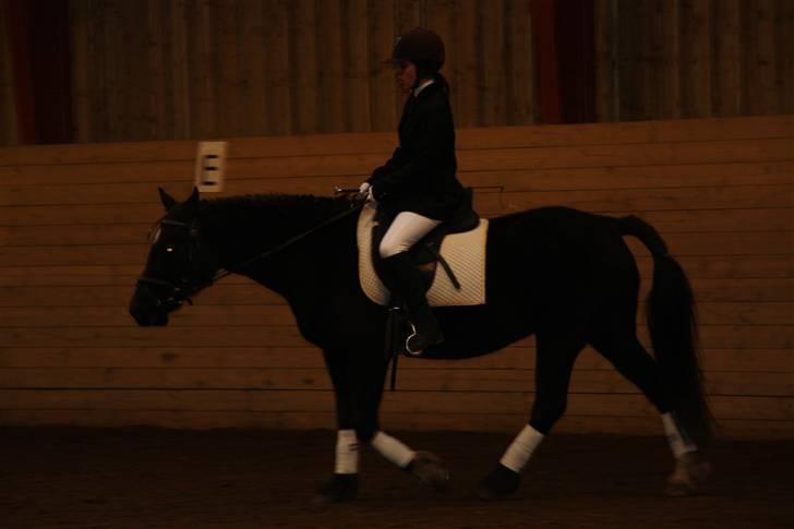 Stævne på Enggården 09 Dressur (rideskolen) billede 154