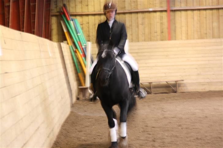 Stævne på Enggården 09 Dressur (rideskolen) billede 155