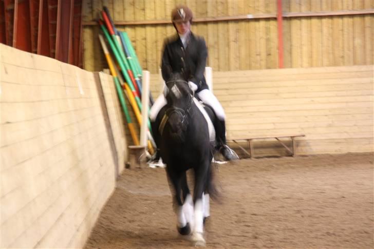Stævne på Enggården 09 Dressur (rideskolen) billede 156