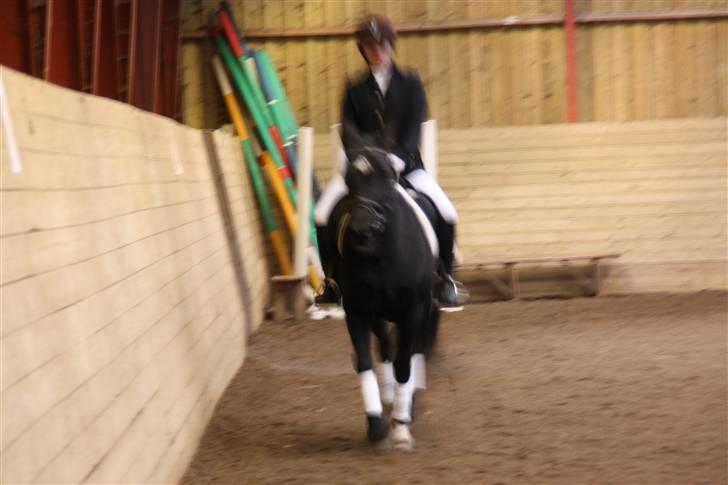 Stævne på Enggården 09 Dressur (rideskolen) billede 157