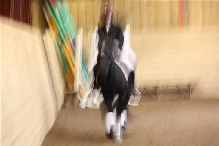 Stævne på Enggården 09 Dressur (rideskolen) billede 158