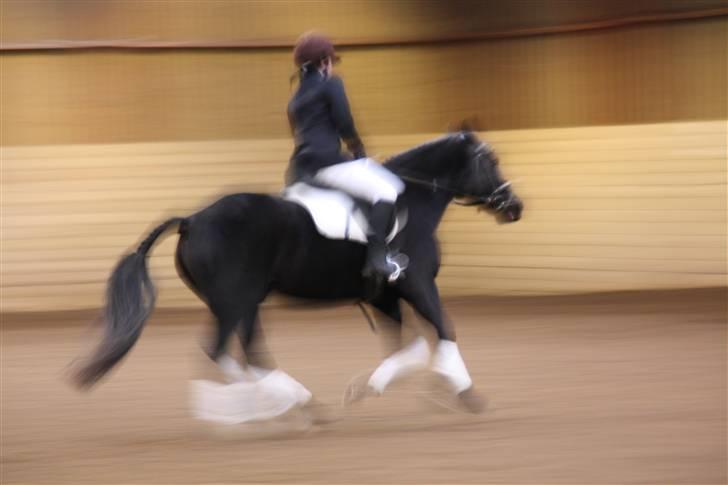 Stævne på Enggården 09 Dressur (rideskolen) billede 159