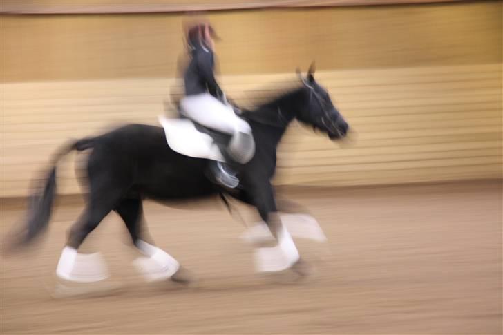Stævne på Enggården 09 Dressur (rideskolen) billede 160
