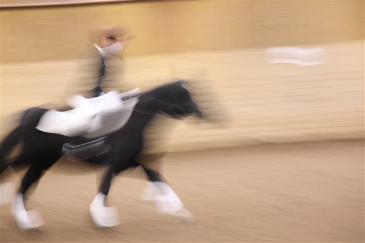 Stævne på Enggården 09 Dressur (rideskolen) billede 162