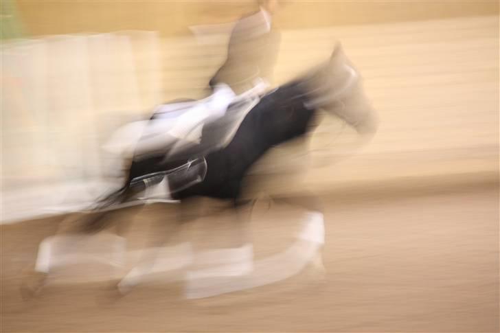 Stævne på Enggården 09 Dressur (rideskolen) billede 163