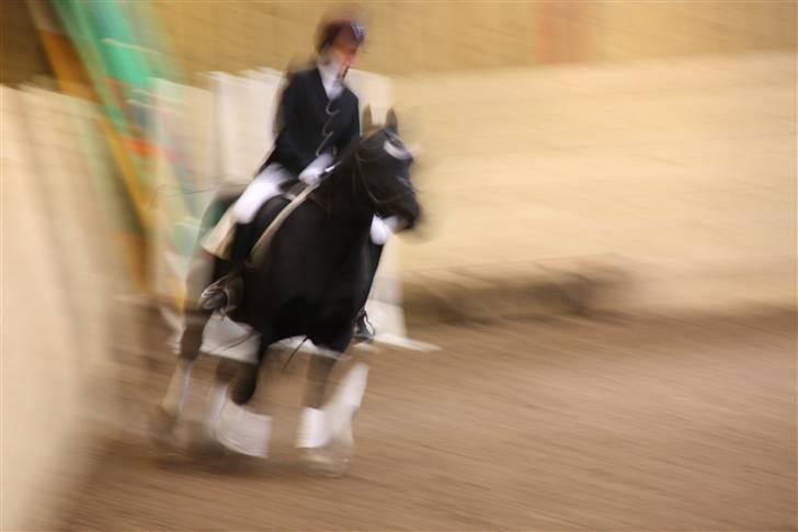 Stævne på Enggården 09 Dressur (rideskolen) billede 164