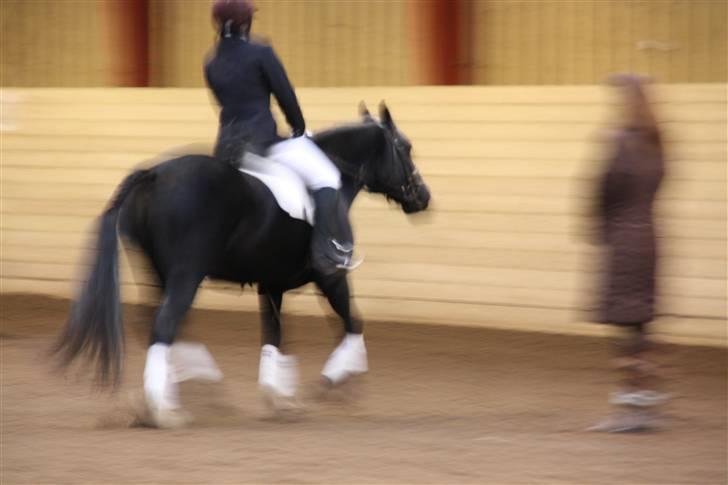 Stævne på Enggården 09 Dressur (rideskolen) billede 165