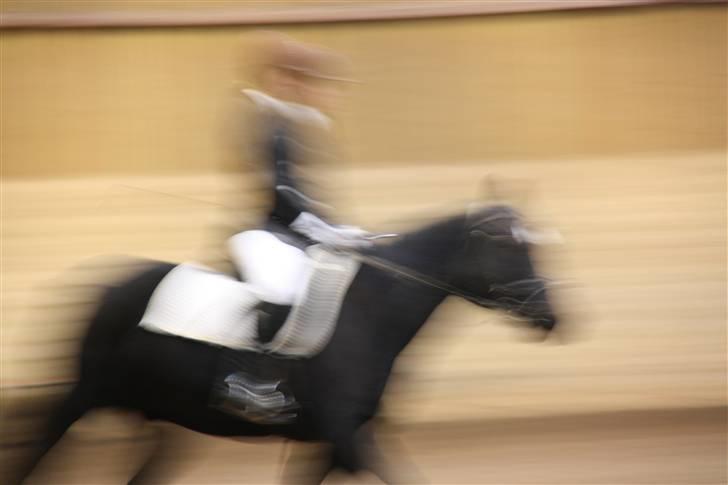 Stævne på Enggården 09 Dressur (rideskolen) billede 166